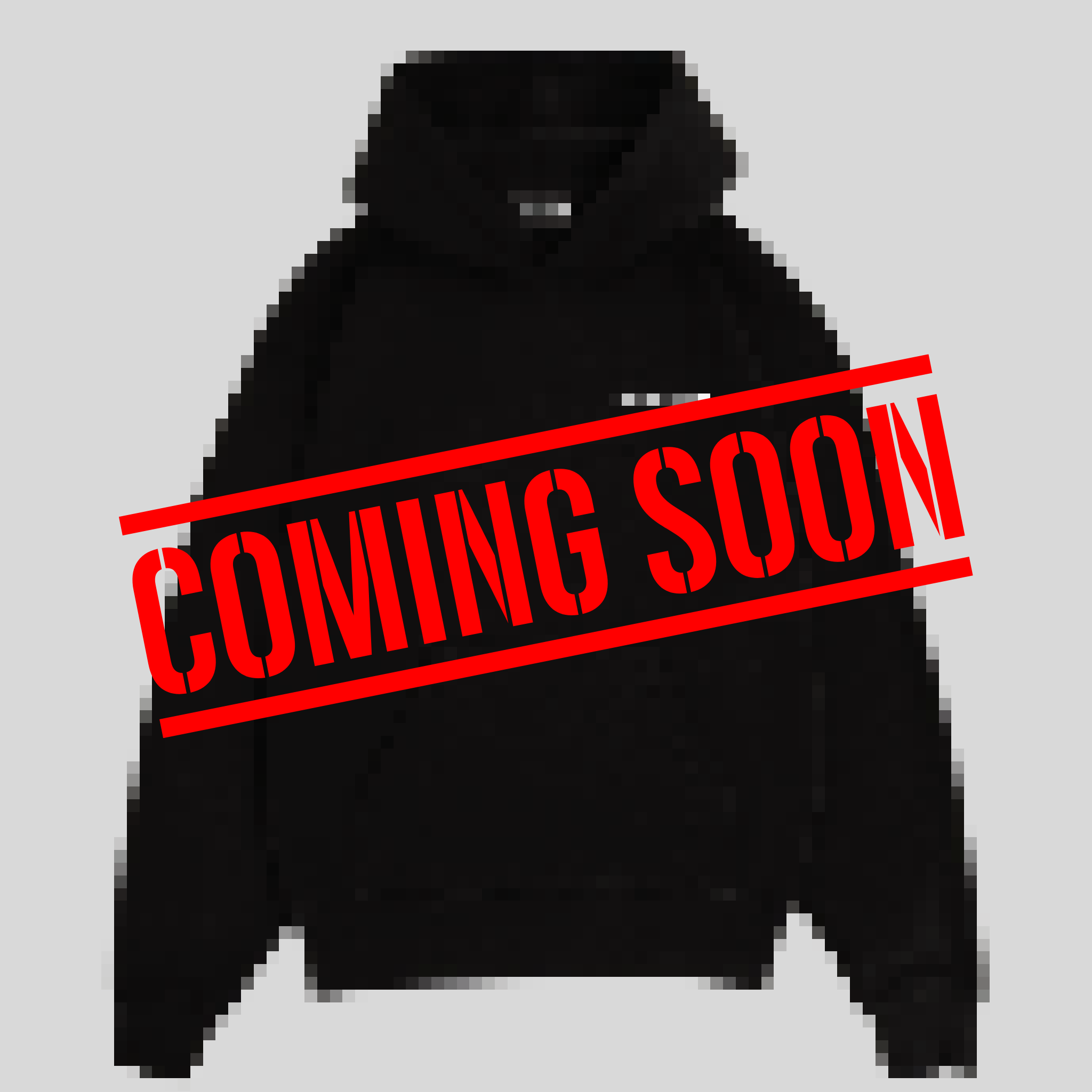 幽玄 YUGEN LOGO HOODIE